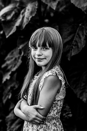 2N3A7591 copy