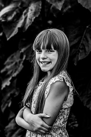2N3A7593 copy
